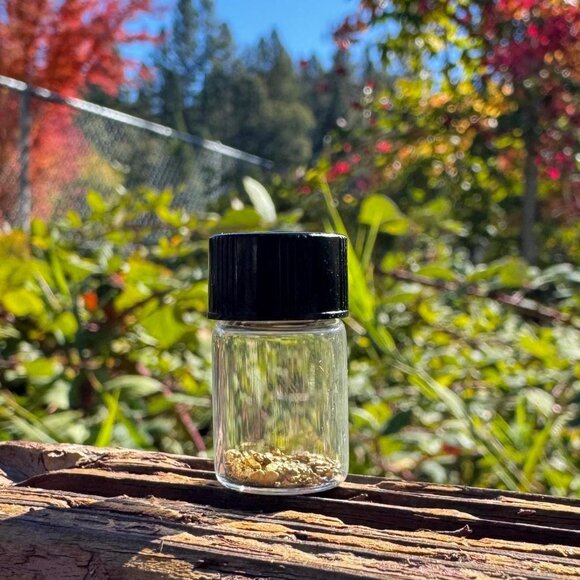 Gold Nuggets in Jar - California Placer Gold - 1.36 grams - Picture 2 of 7